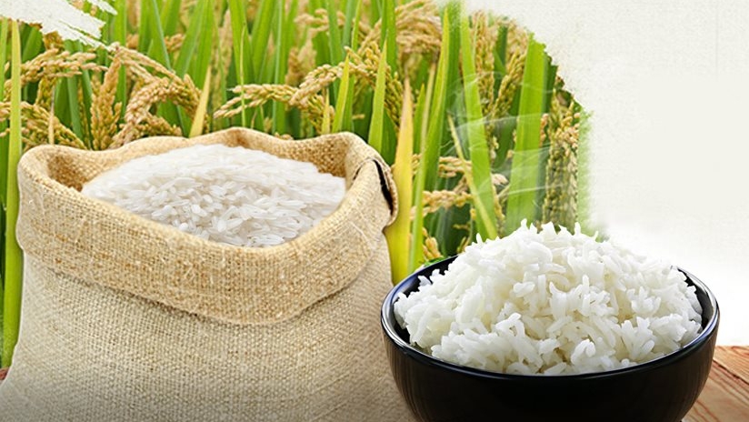 Giá lúa gạo hôm nay 6/3: Xu hướng đi ngang