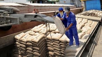 Việt Nam xuất khẩu 3,14 triệu tấn xi măng và clinker trong tháng 1/2021