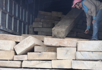 Hà Tĩnh: Bắt giữ xe tải vận chuyển 10m³ gỗ không rõ nguồn gốc