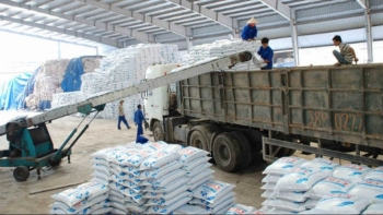 Xuất khẩu phân bón trở về mốc 1 triệu tấn sau 7 năm