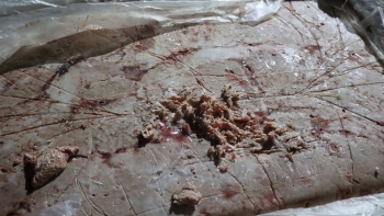 Lạng Sơn: Bắt giữ 2 xe ô tô vẫn chuyển 3,3 tấn nầm lợn đông lạnh