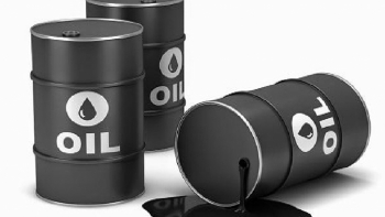 Giá xăng dầu hôm nay 10/3: Tiếp tục lao dốc