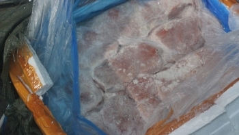 Thanh Hóa: Xử phạt cá nhân kinh doanh 9 tấn nầm lợn đông lạnh không rõ nguồn gốc