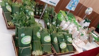 Hà Nội: Phấn đấu 100% siêu thị, TTTM không sử dụng túi nilon khó phân hủy