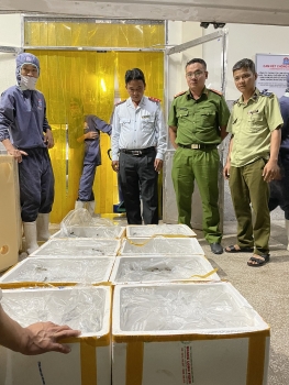 Kiên Giang: Bắt giữ 100kg tôm thẻ chân trắng chứa tạp chất