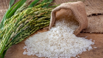 Giá gạo hôm nay 13/3: Ổn định phiên cuối tuần