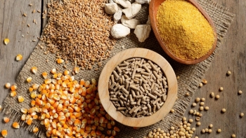 Bộ Công Thương: Khó đoán định giá nguyên liệu thức ăn chăn nuôi tăng trong bao lâu