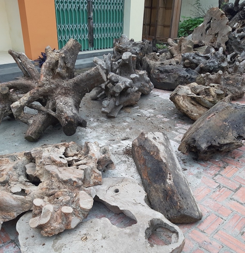 Bắc Giang: Tạm giữ 1,63 tấn gỗ không rõ nguồn gốc