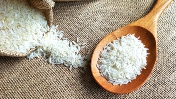 Giá gạo hôm nay 17/3: Giá gạo xuất khẩu bật tăng