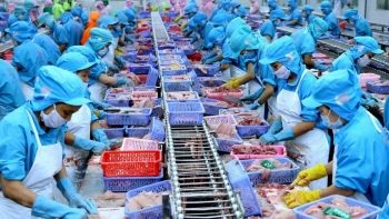 Xuất khẩu cá tra sang Anh tiếp đà tăng mạnh