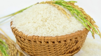 Giá gạo hôm nay 19/3: Ổn định ở mức cao