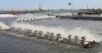 Ứng dụng, chuyển giao khoa học công nghệ phục vụ tái cơ cấu ngành thủy sản