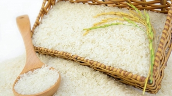 Giá gạo hôm nay 20/3: Không có biến động