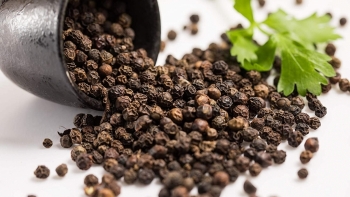 Giá hồ tiêu hôm nay 21/3: Giảm