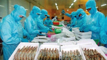 Việt Nam là thị trường cung cấp thủy sản lớn thứ 4 cho Nhật Bản