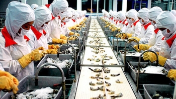 Sản phẩm thủy sản là hàng chế biến và được hưởng ưu đãi thuế TNDN