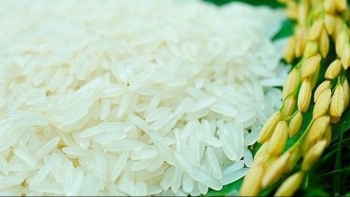 Giá gạo hôm nay 23/3: Tăng ở một số chủng loại
