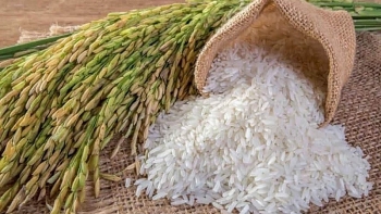 Giá gạo hôm nay 26/3: Trong nước ổn định, xuất khẩu tăng