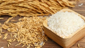 Giá gạo hôm nay 30/3: Ổn định