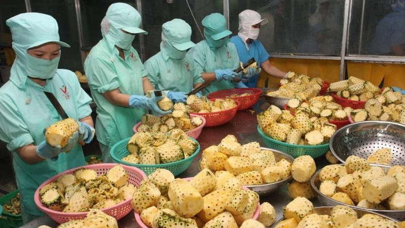 Hoa Kỳ trở thành thị trường nhập khẩu nông sản lớn nhất của Việt Nam