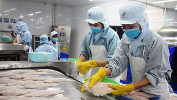 Gần 1.700 doanh nghiệp xuất khẩu được Hải quan Trung Quốc cấp mã số