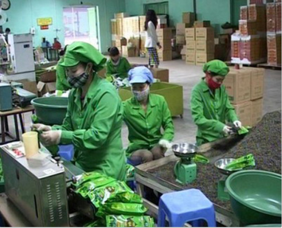 Thị phần chè của Việt Nam trong tổng lượng chè nhập khẩu của Nga giảm