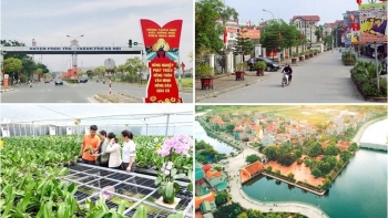 Tỉnh hoàn thành nhiệm vụ xây dựng nông thôn mới có ít nhất 40% số xã đạt chuẩn nông thôn mới nâng cao