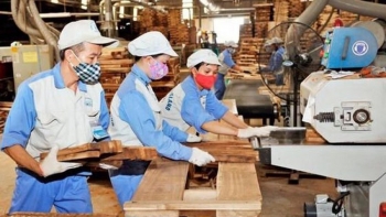 Phấn đấu giá trị xuất khẩu gỗ và lâm sản đạt 20 tỷ USD vào năm 2025