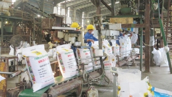 Nhập khẩu phân bón tăng mạnh về kim ngạch