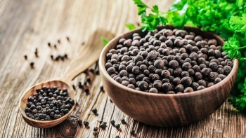 Cập nhật giá hồ tiêu hôm nay 12/3/2022: Giảm 500 đồng/kg tại các tỉnh Tây Nguyên