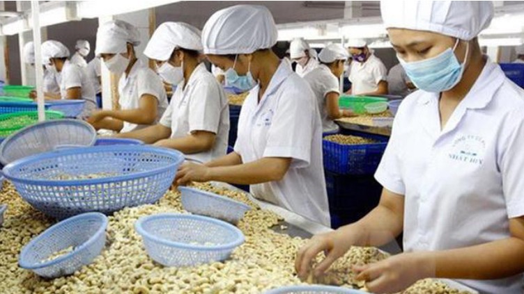 Thủ tướng chỉ đạo khẩn trương tháo gỡ khó khăn cho doanh nghiệp xuất khẩu điều