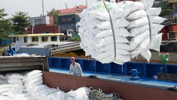 Xuất khẩu gạo sẽ nhộn nhịp hơn từ cuối tháng 3/2022