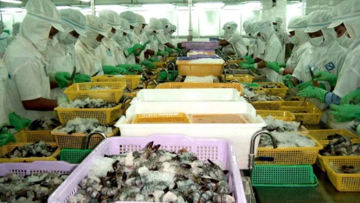 Kim ngạch xuất khẩu thủy sản 2 tháng đầu năm 2022 tăng 50,4%