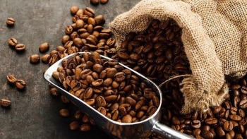 Cập nhật giá cà phê hôm nay 20/3/2022: Xu hướng đi lên