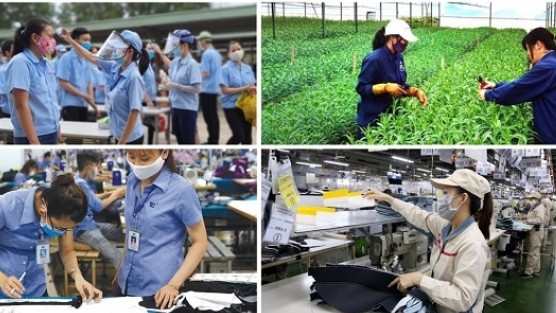 Triển khai quyết liệt, hiệu quả chương trình phục hồi và phát triển kinh tế - xã hội