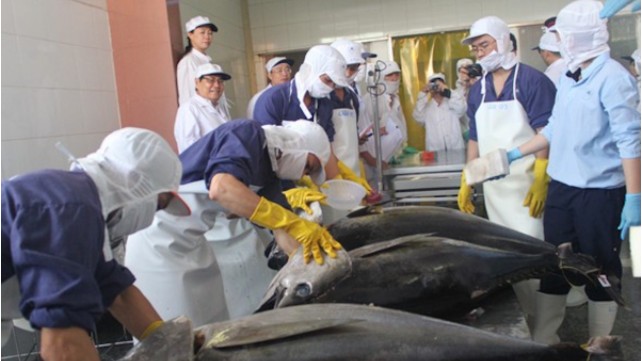 Xuất khẩu cá ngừ đã tận dụng hiệu quả các FTA