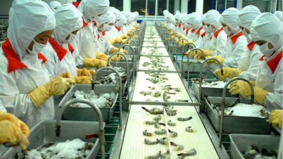 Xuất khẩu tôm tăng trưởng vượt bậc