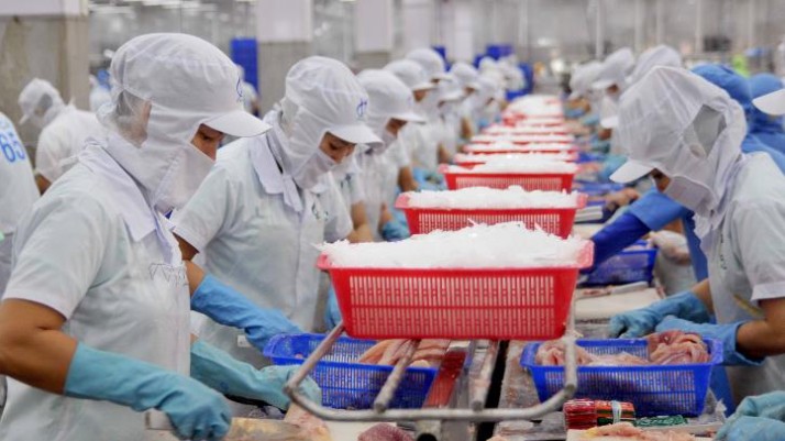 Xuất khẩu cá tra tăng trưởng mạnh ở các thị trường lớn