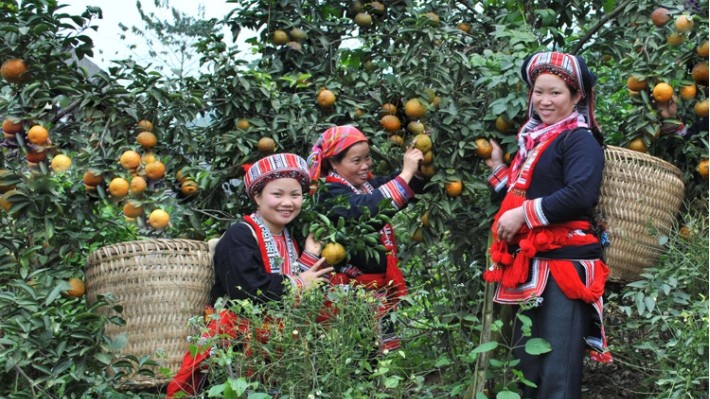 Khẩn trương hoàn thiện hồ sơ giao vốn các chương trình mục tiêu quốc gia