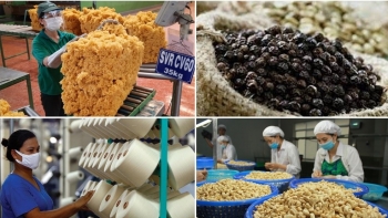 Tư vấn xuất khẩu sang thị trường Thổ Nhĩ Kỳ