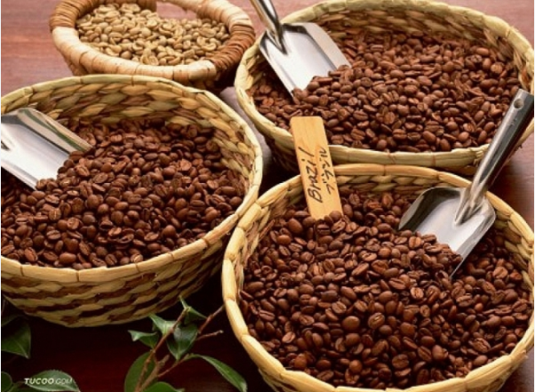 EU khuyến nghị kiểm soát dư lượng Furan và Alkylfurans trong thực phẩm