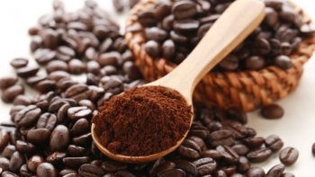 Giá cà phê hôm nay 3/4: Đi ngang