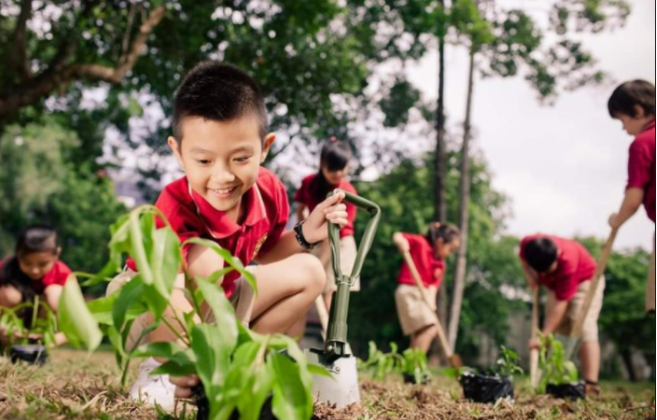 Phê duyệt Đề án trồng 1 tỷ cây xanh