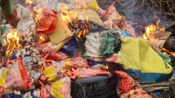 Hà Giang: Tiêu hủy gần nửa tấn thực phẩm nhập lậu