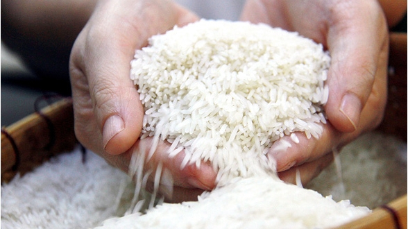 Giá gạo hôm nay 6/4: Trong nước ổn định