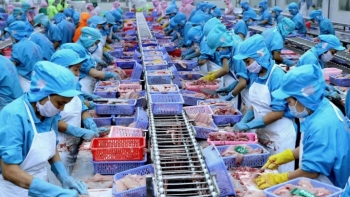 Thủy sản nhập khẩu vào Anh cần phải có chứng thư vệ sinh mới