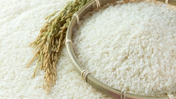 Giá gạo hôm nay 15/4: Ổn định