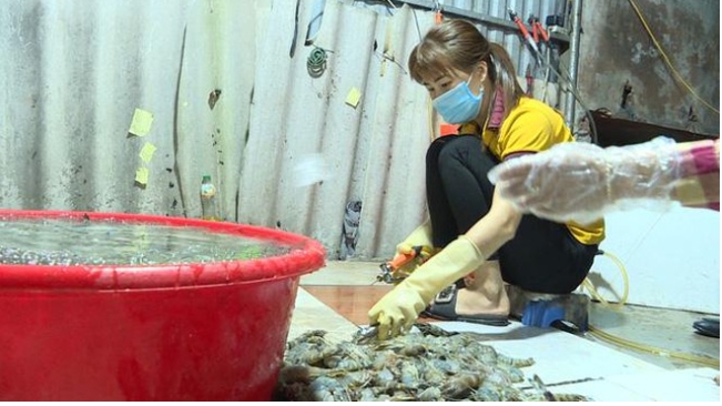 Vấn nạn bơm tạp chất vào thủy sản: Tăng cường kiểm tra, mạnh tay xử lý vi phạm