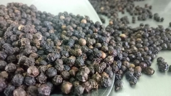 VPA cảnh báo giá tiêu cao có thể khiến Việt Nam mất khách hàng