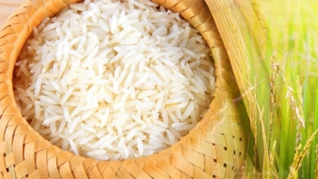 Giá gạo hôm nay 18/4: Không có biến động